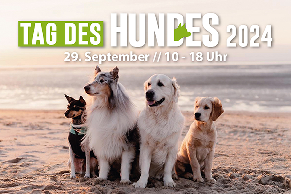 Tag des Hundes2024 Webseite 600x400px