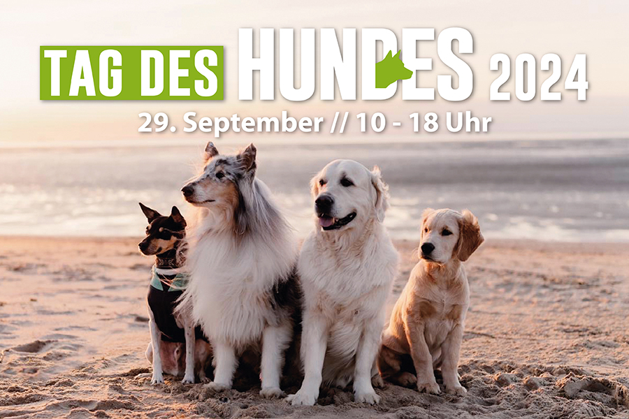 Tag des Hundes 2024