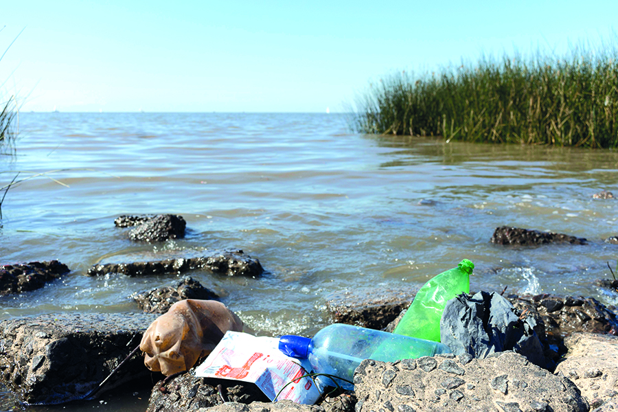 Kinder-Uni: Weniger Plastik ist Meer