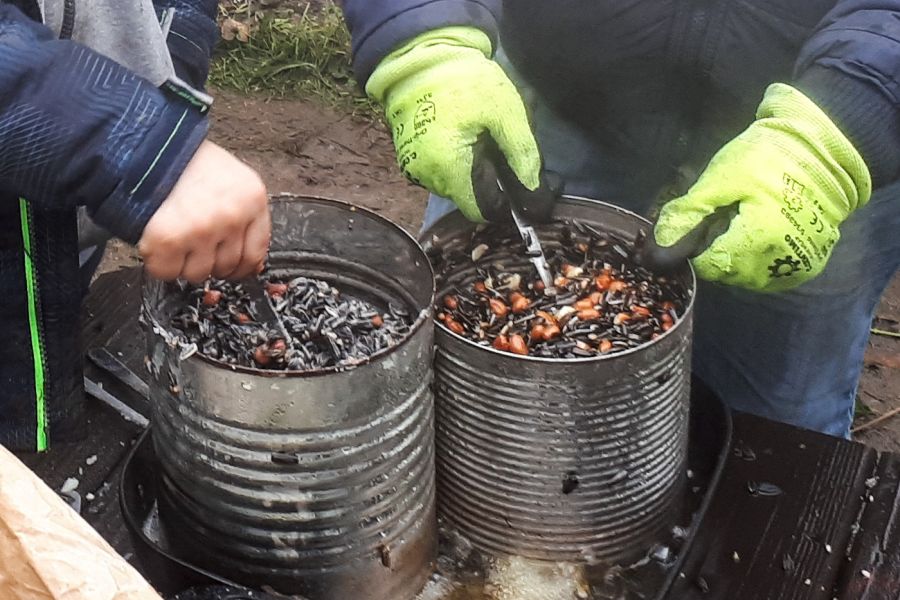 Vogelfutter selbst herstellen