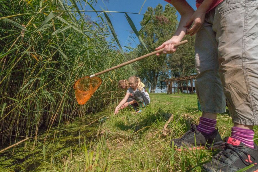 Forschen im Wasserland