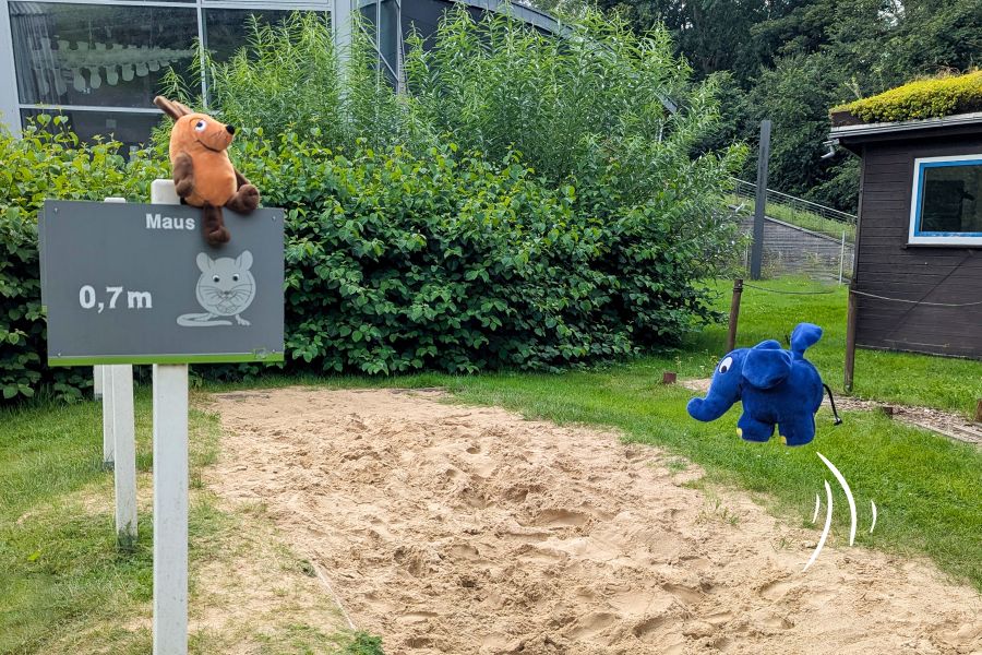 Türen auf mit der Maus: Wald entdecken