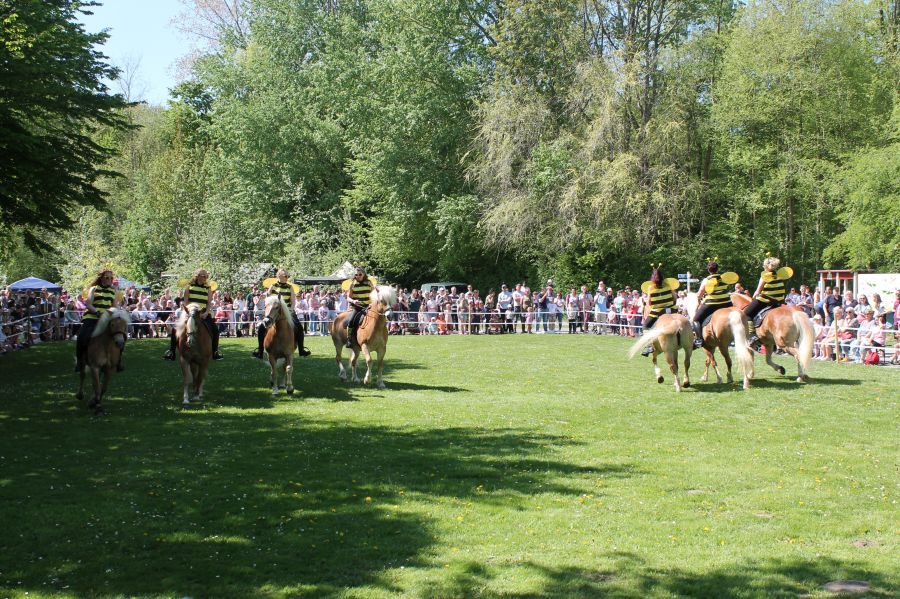 Flohmarkt am Tag des Pferdes